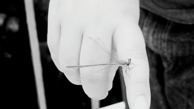 Zbliżenie igły i nici w dłoni